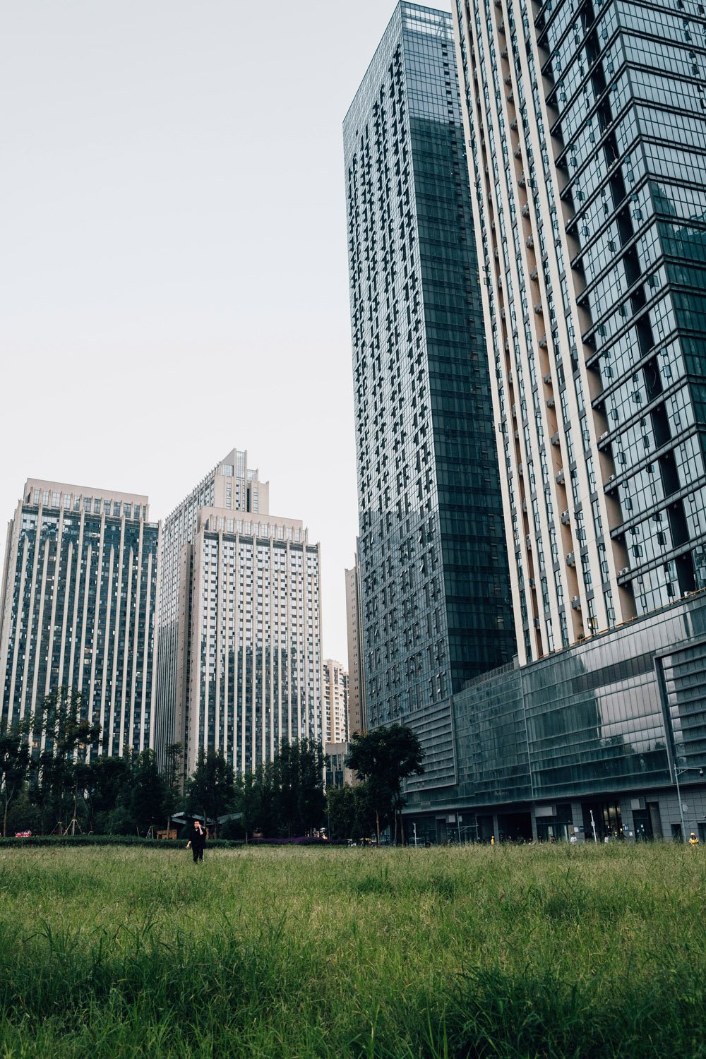 xingchen-yan-hT8lpY-tFs0-unsplash