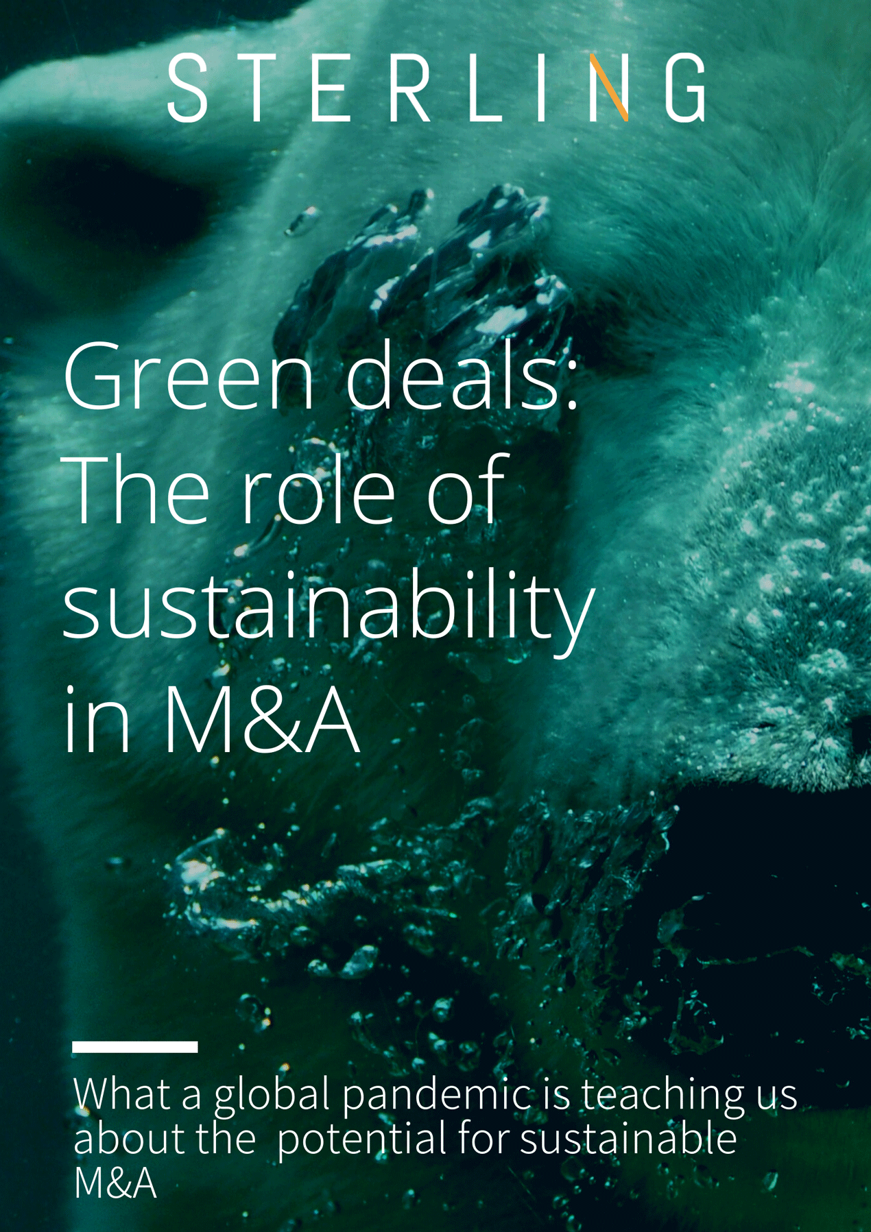 Climate Change + M&A Report Covers